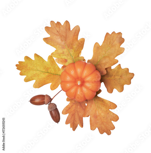 Autumn floral arrangement of oak leaves, acorns and candle pumpkin cut out on white background