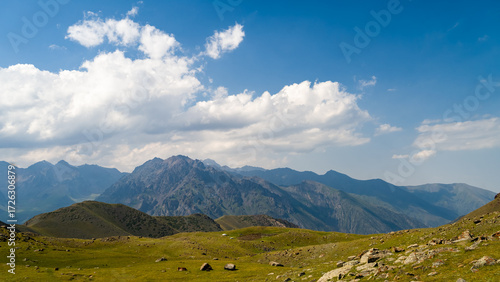 summer in the mountains. a beautiful mountain gorge