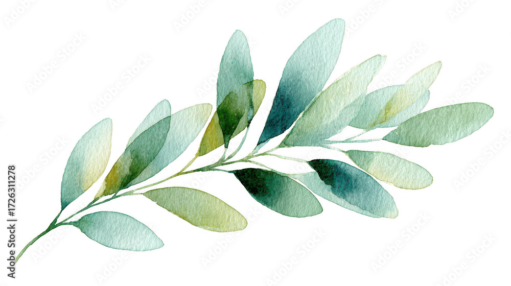 Naklejka premium Watercolor illustration of an olive branch with leaves isolated on transparent background