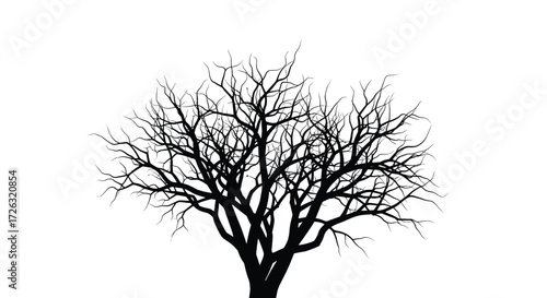 Silhouetted bare tree branches spreading outwards against a stark white background.