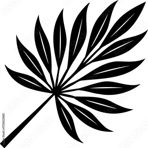 Sketchy emblem of broad leaf of a spreading palm tree. Engraving minimalistic vector in black ink drawing on transparent background
