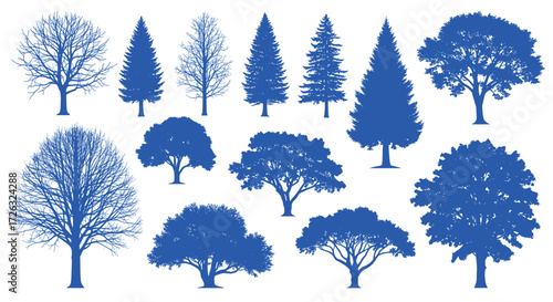A collection of various deciduous and coniferous trees rendered in silhouette form.