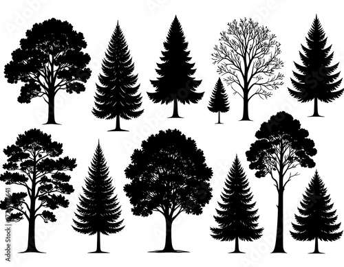 Wallpaper Mural A collection of twelve diverse tree silhouettes, showcasing various species and sizes Torontodigital.ca