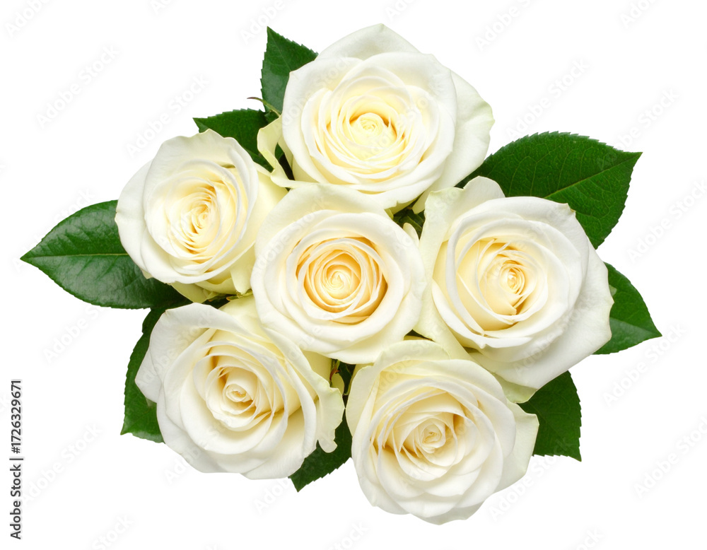 Obraz premium Top-Down View of White Rose Bouquet with Leafy Accents, elegant arrangement, isolated on transparent background PNG