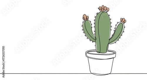 Cactus in a white pot with flowers on a plain background for copy space