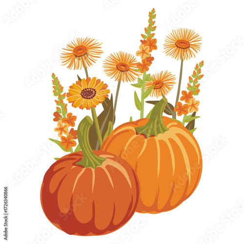 vector drawing pumpkins and flowers, Thanksgiving day decoration, autumn vegetable composition, hand drawn illustration
