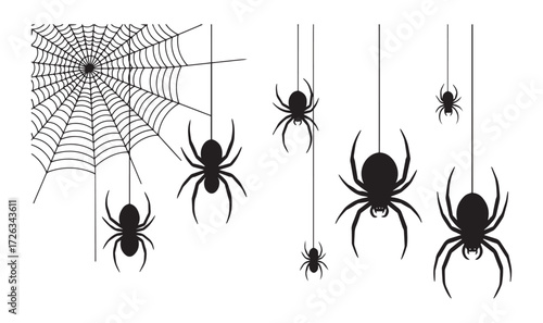 Spiders Descending Awaiting Night