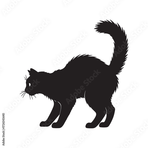 Scared Cat Illustration