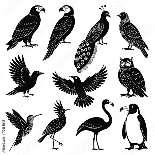 Diverse vector birds collection silhouette art scalable eps illustration for design projects vector