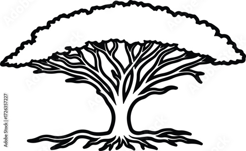 Vector African acacia tree with roots silhouette Illustrator
