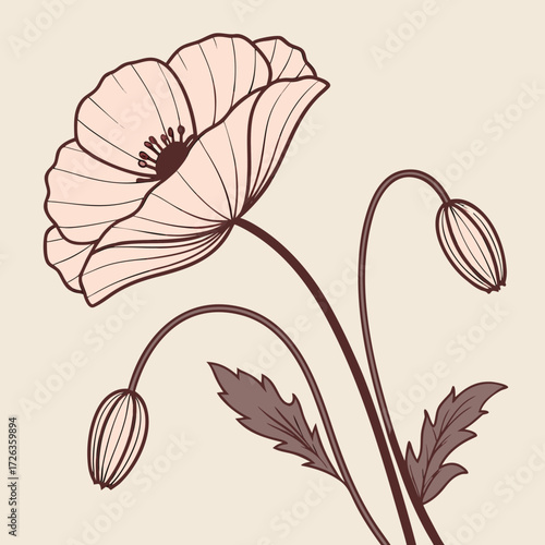 Poppy Flower: A beautiful poppy flower in full bloom showcases its delicate petals and elegant stem. The image features exquisite lines and a timeless appeal.