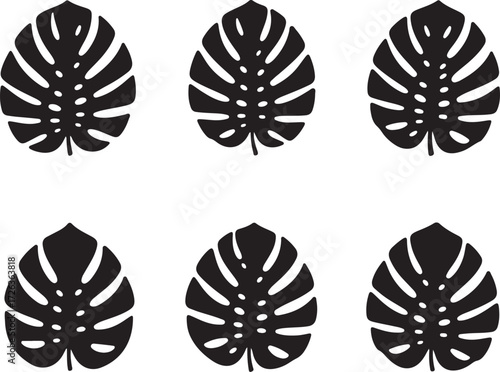 Monstera Deliciosa leaves: A symmetrical pattern showcases several stylized Monstera deliciosa leaves, elegantly arranged to evoke a sense of modern tropical design.
