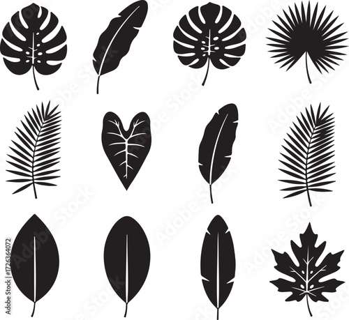 Tropical Leaves Collection: A collection of tropical leaves elegantly rendered in a monochromatic style, creating a captivating illustration with a touch of exotic allure.