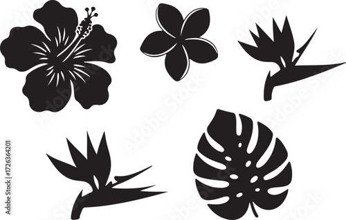 Tropical Floral Silhouette Collection: A curated compilation of exquisite silhouettes capturing the essence of various tropical flowers, celebrating the diversity and elegance of nature's design.