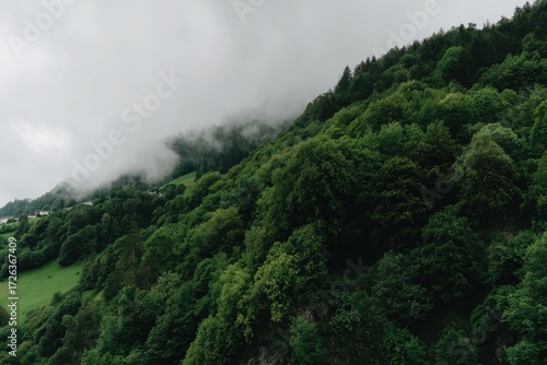 Misty Green Mountain Slope Lush Forest in Overcast Sky