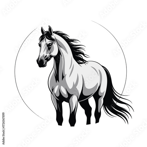 Powerful Horse Black White Elegant Steed Equestrian Sport Mammal