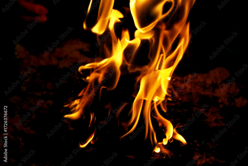 Fototapeta premium Close-up of Bright Fire Flames in Darkness