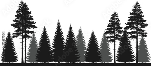Forest tree silhouette illustration, pine and fir tree vector design, natural woodland background, outdoor landscape art, evergreen conifer nature scene