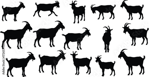 Goat silhouettes vector set, domestic farm animals illustration, black livestock icons, rural nature design, agriculture graphics for countryside, grazing goats artwork collection