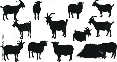 Goat and sheep silhouettes vector set, farm animal illustrations, black livestock icons, domestic animals design, simple nature graphics for agriculture projects