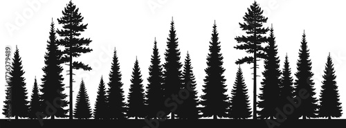 Dense pine forest silhouette illustration, evergreen trees landscape, black vector nature design, spruce woodland outline, minimal natural background, wilderness scenery