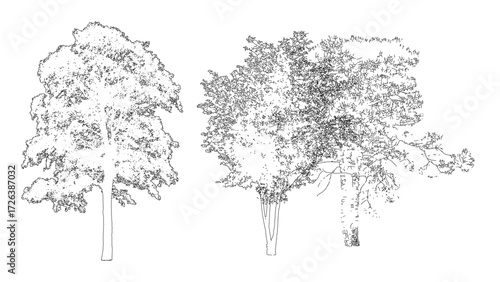 front View Vector Icons of Trees and Plants for Floor Plan and Architectural Design Projects	