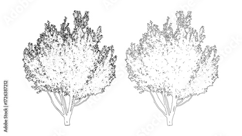front View Vector Icons of Trees and Plants for Floor Plan and Architectural Design Projects	