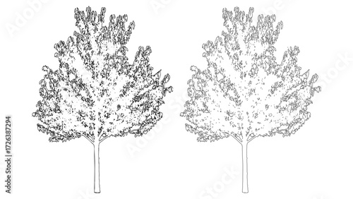 front View Vector Icons of Trees and Plants for Floor Plan and Architectural Design Projects	