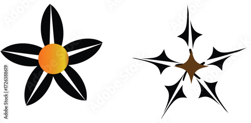 Floral and Star Design