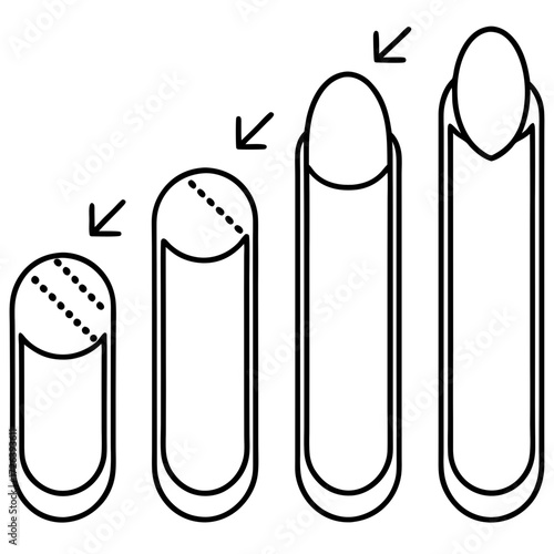 Nail growth stages