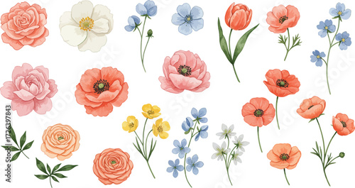 Watercolor floral collection with various blooms and delicate foliage on transparent background