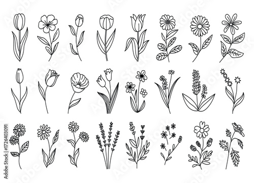 Collection of Delicate Hand Drawn Flowers in Black and White Line Art Style Various Floral Designs for Decoration and Illustration