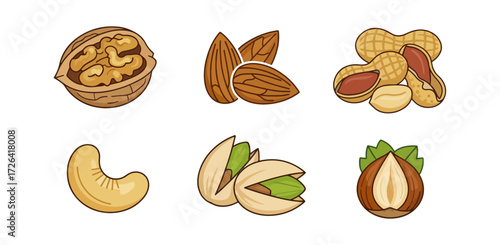 Assorted nuts illustration
