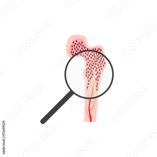 Bone marrow anatomical icon or logo. Human bone structure. Laboratory research, tests, surgery and medical exam. Human skeleton x ray scan. Medical poster for clinic. Isolated flat vector illustration