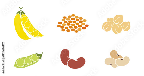 Different types of legumes and peas