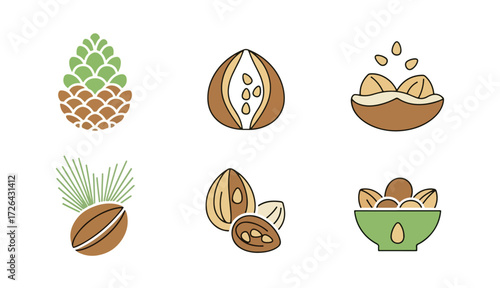Nuts and pine cone illustrations