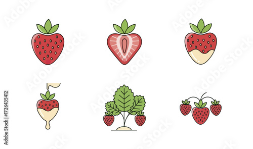 Strawberry illustration set