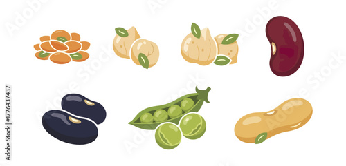 Variety of beans and legumes illustration