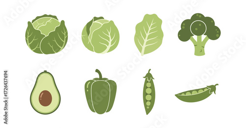 Variety of green vegetables illustration