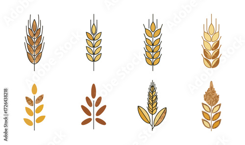 Variety of wheat ears illustrations