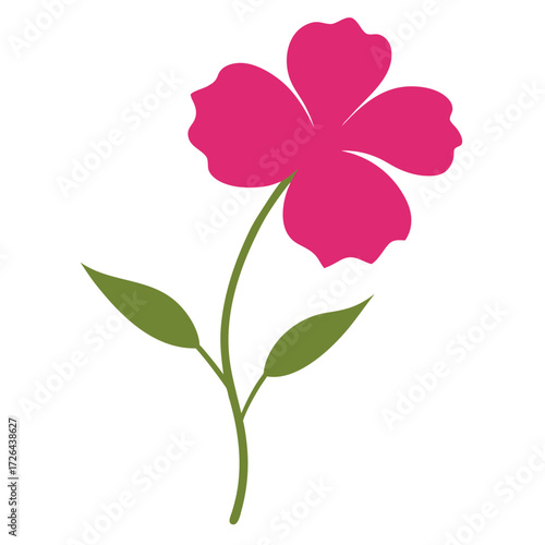 nemesia strumosa pink flower silhouette vector on white