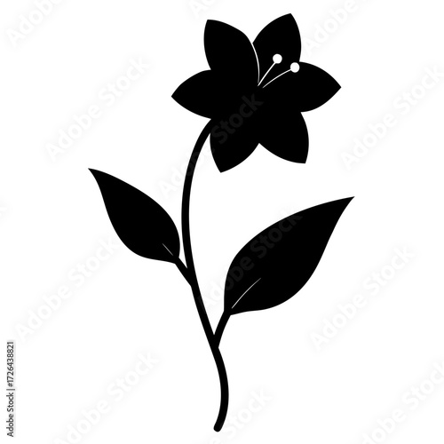 nierembergia repens flower silhouette vector on white