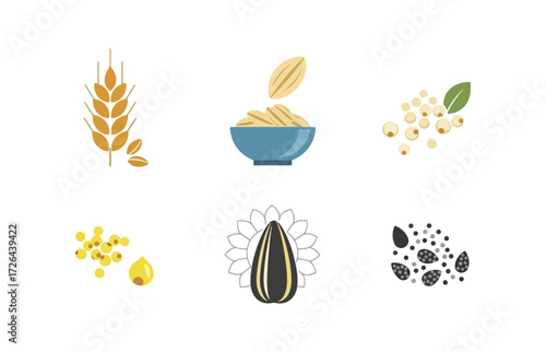 Various grains and seeds illustration