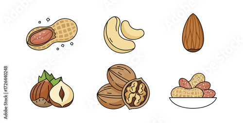 Various nuts illustration