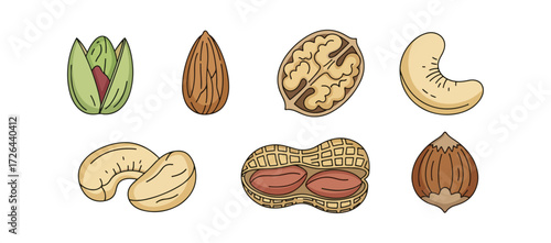 Various nuts illustration