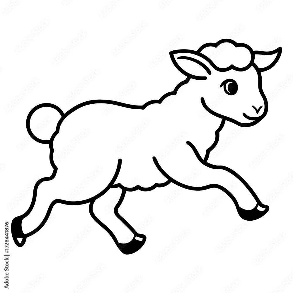 Fototapeta premium sheep baby