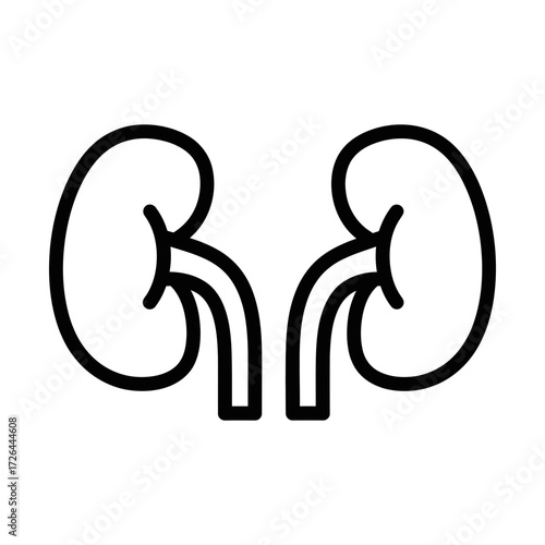 kidney line icon