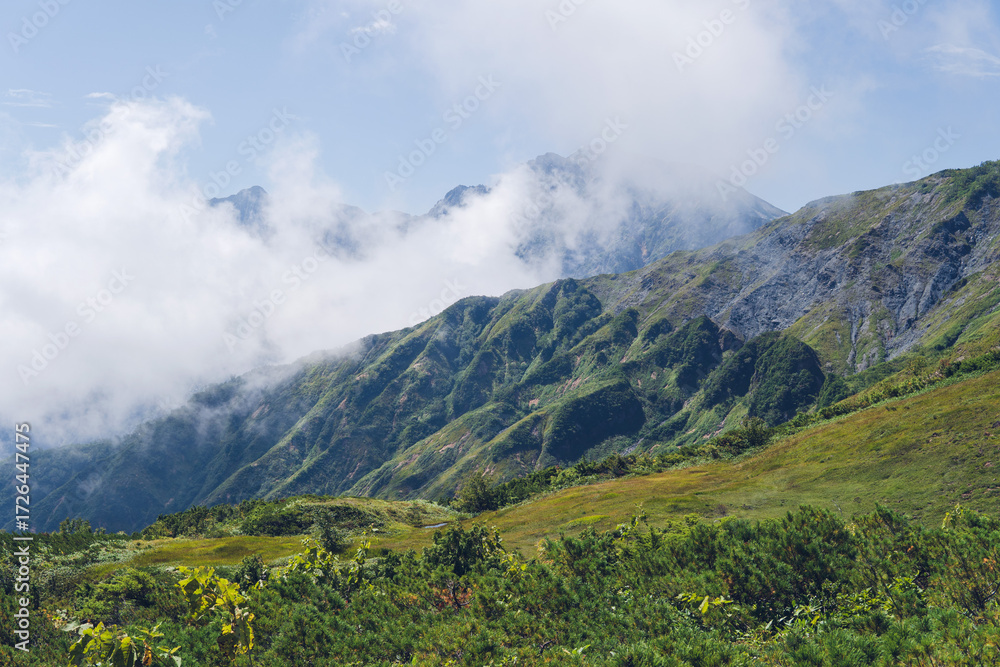 Fototapeta premium 日本：白馬八方尾根からの景色【中部山岳国立公園】長野県白馬村・9月