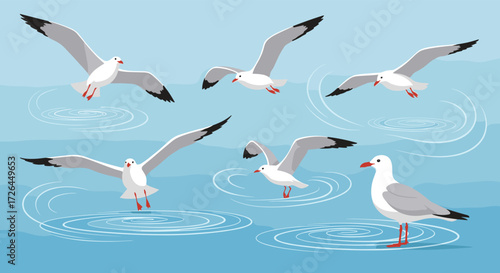 A flock of seagulls gracefully flies and lands on the surface of the calm ocean water.