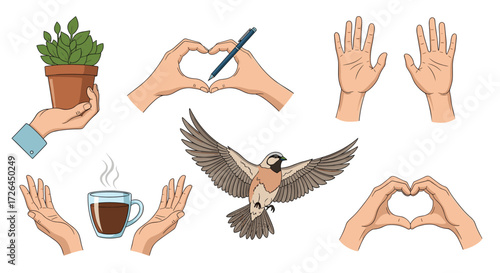 Various hands showing care protection and creativity for life and nature.
